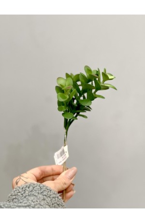 Suculenta Verde ( Artificial ) - 20cm