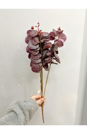 Buquê de Eucalipto Vinho - 50cm