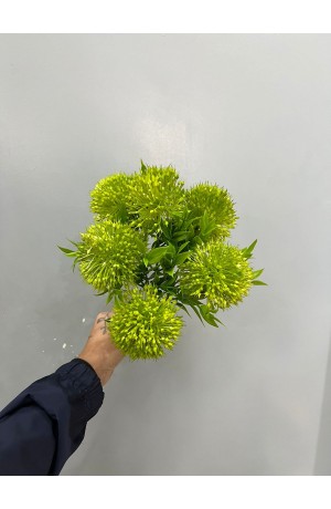 Buquê de Allium Verde - 31cm ( Artificial )
