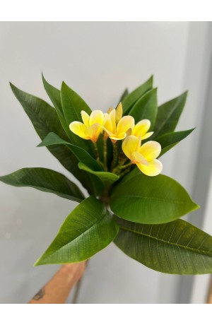 Haste de Jasmim Manga 90cm - Amarelo (Artificial)