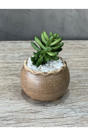 Vaso Areia com Suculenta Redondo Urban MOD.1